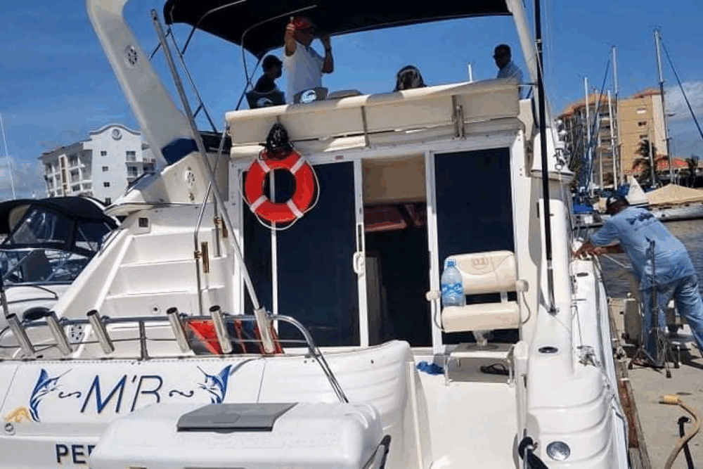 Boat trips around Mazatlán Bay and sport fishing - Image 2