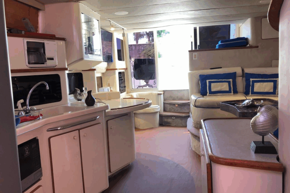 Boat trips around Mazatlán Bay and sport fishing - Image 4