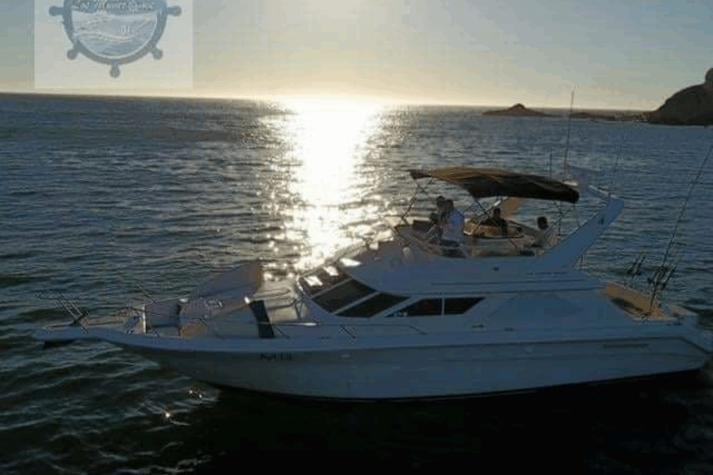Boat trips around Mazatlán Bay and sport fishing