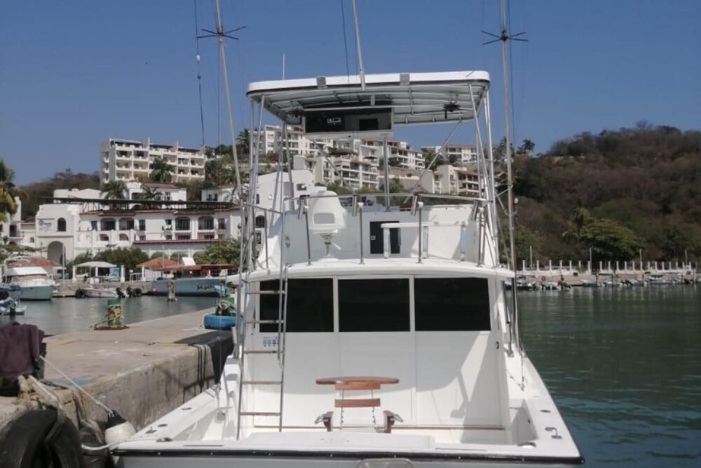 BERTRAM 35FT FISHING CHARTERS - Imagen 4