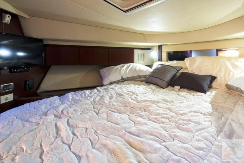 Luxurious Sea Ray Sedanbridge 440 - Imagen 3