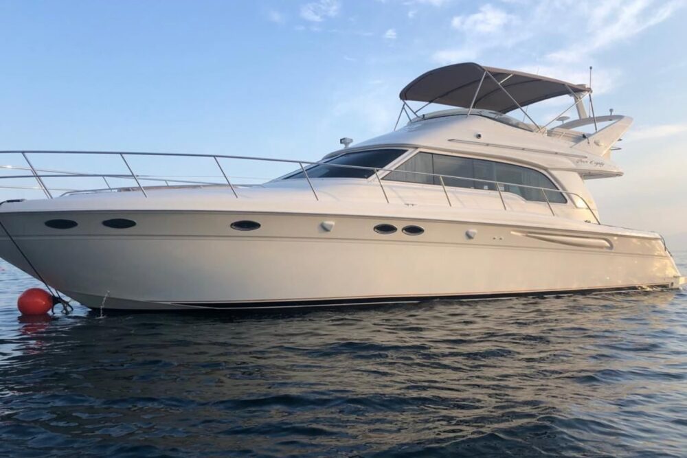 Sea Ray 50 - Image 4