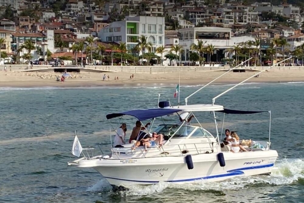 Lovely Proline 30 - Imagen 7
