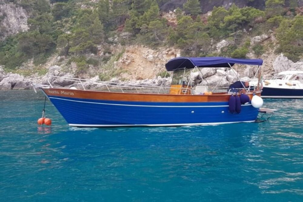 Capri or Amalfi Coast Boat Tour - Imagen 4
