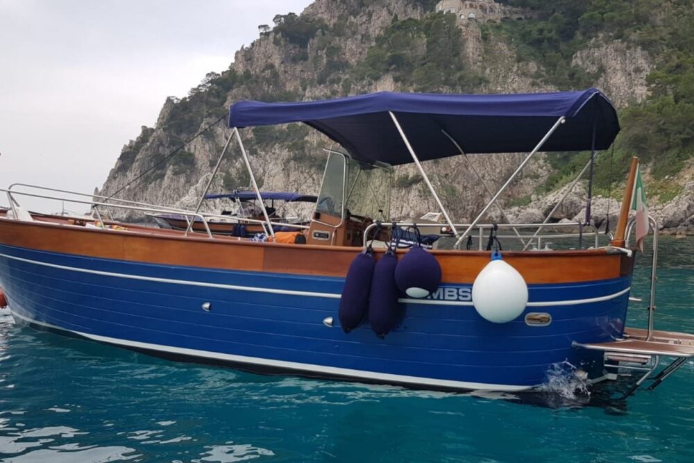 Capri or Amalfi Coast Boat Tour - Imagen 3