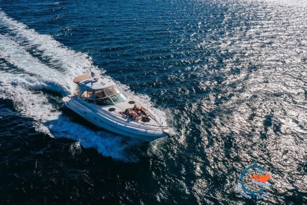 Doral Alegria 50
