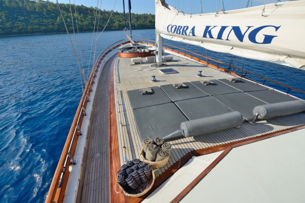 COBRA KING - Imagen 23