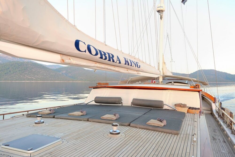 COBRA KING - Imagen 9