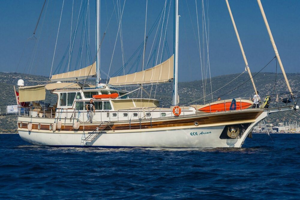 ECE ARINA