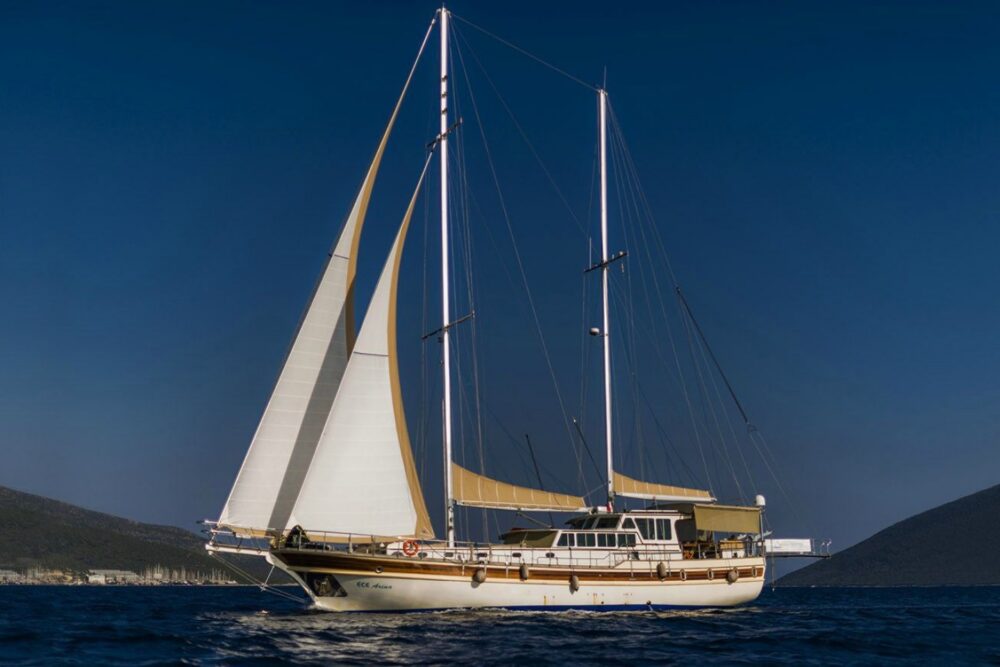 ECE ARINA - Image 16