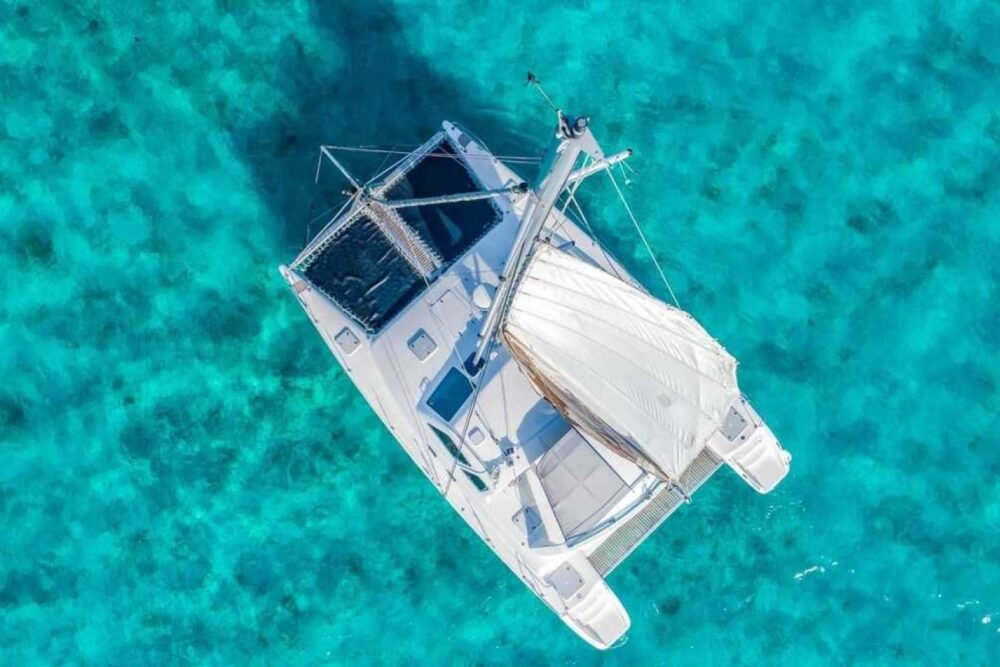 CATAMARAN PARADISE 44” - Image 2