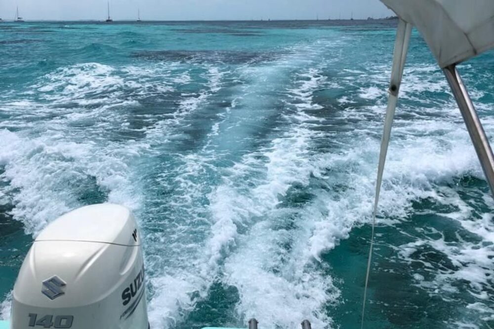 Private boat lake ride and Cancun bay sightseeing & Fishing - Imagen 5