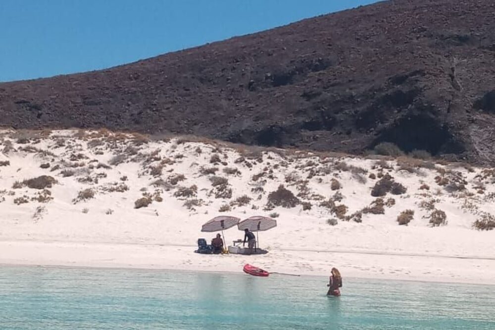 Luxury Yacht Cruises at an Affordable Price - Balandra Beach, Isla Espiritu San - Image 15