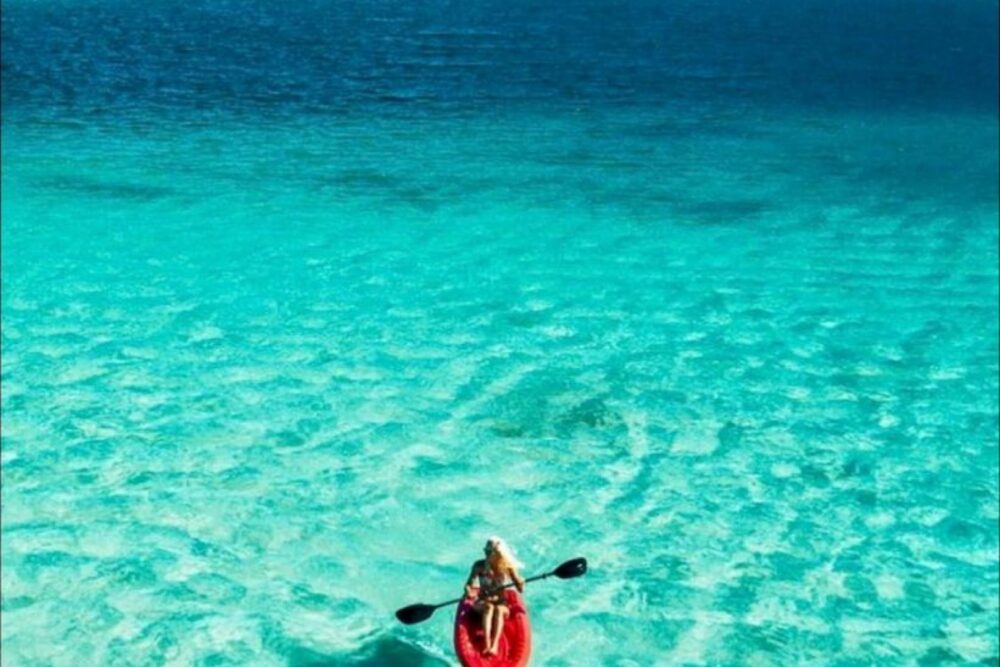 Luxury Yacht Cruises at an Affordable Price - Balandra Beach, Isla Espiritu San - Image 12