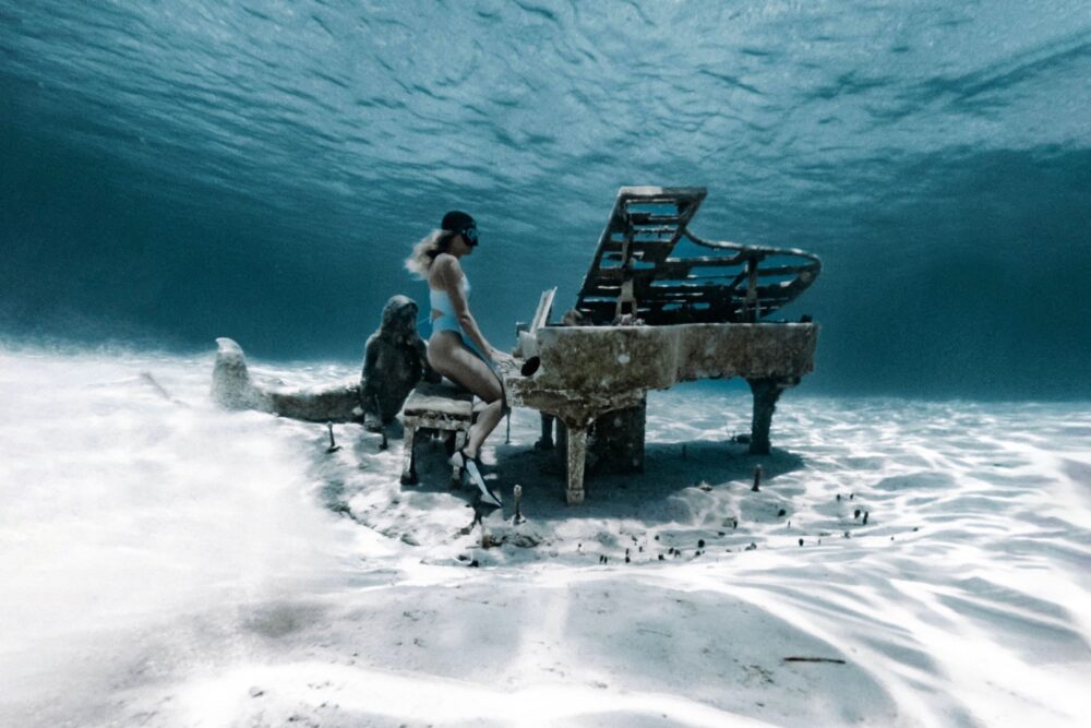 Reef Fishing, Spear Fishing, Pig Tour - Imagen 3