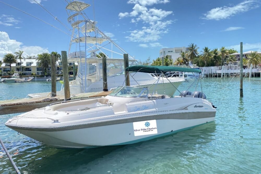 Silver Palm Charters