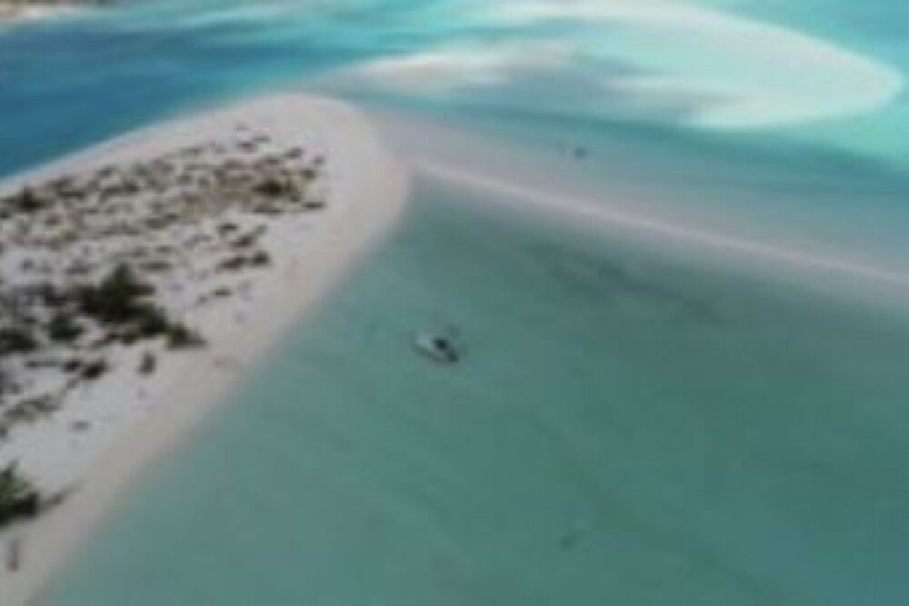 Silver Palm Charters - Imagen 3