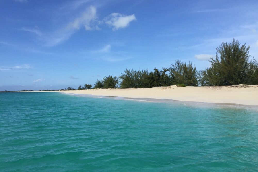 Silver Palm Charters - Imagen 2