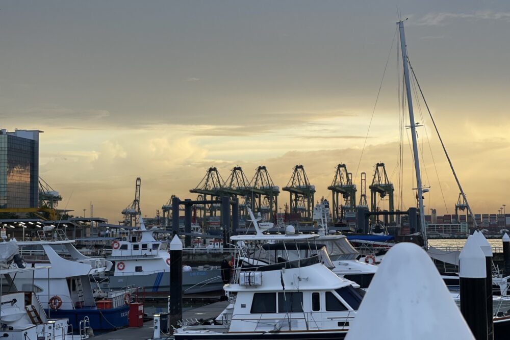 4 hours sunset cruise - Imagen 9