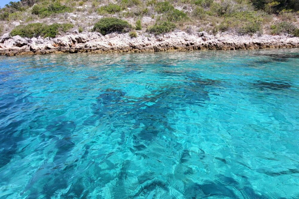 Unique excursions - Imagen 2