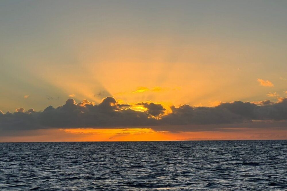 Private Sailing Charter - Imagen 3