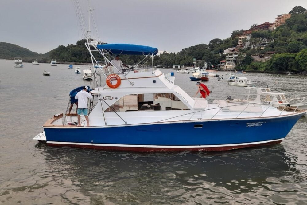 Sport fishing, inshore fishing, whale watching, fishing and Snorkel...