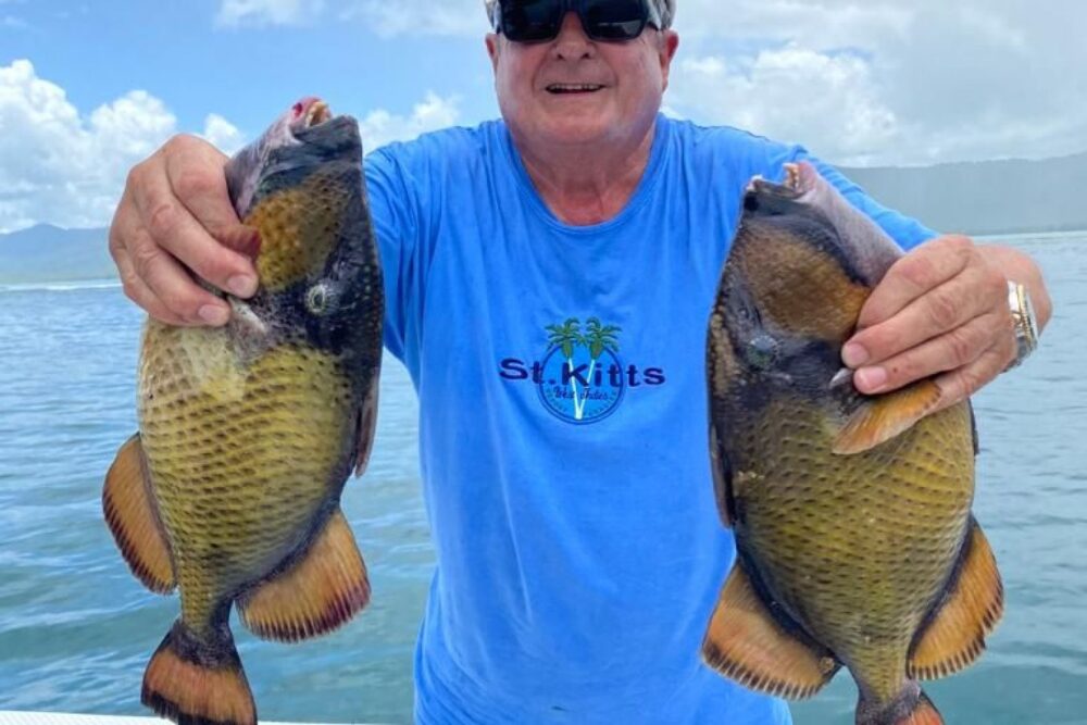 Big Game Fishing Full Day - Imagen 7