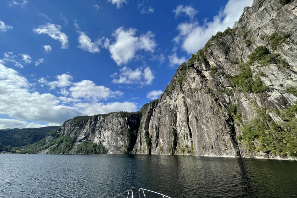 Private Modal cruise from Bergen - Imagen 10