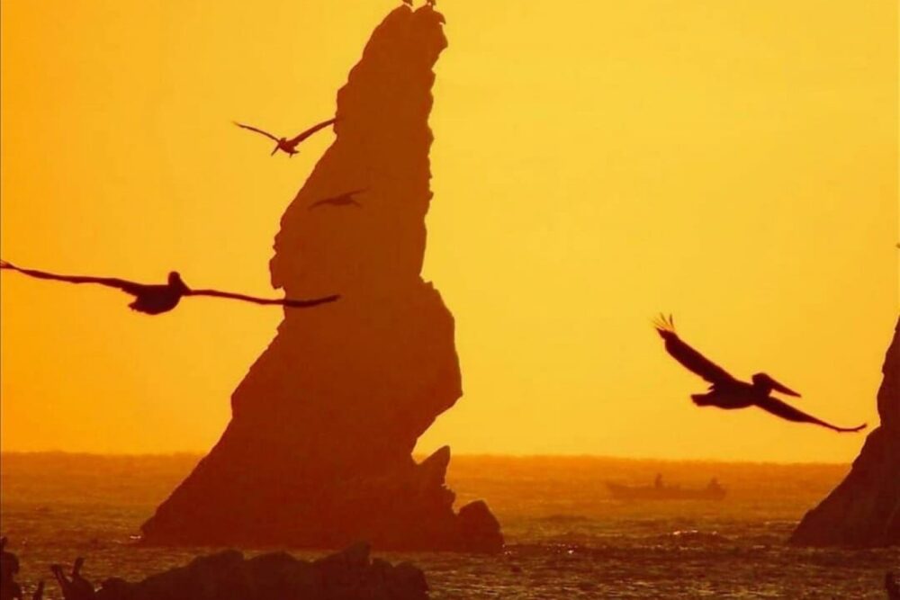 SUNSET IN LOS CABOS - Image 3