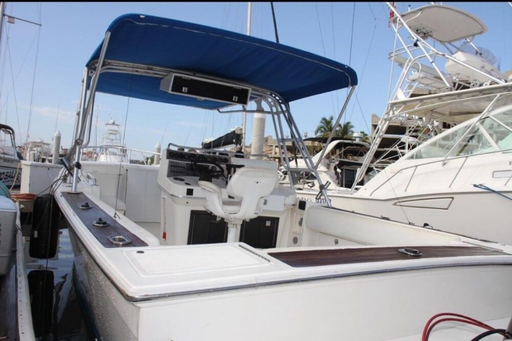 FISHING IN LOS CABOS - Image 4