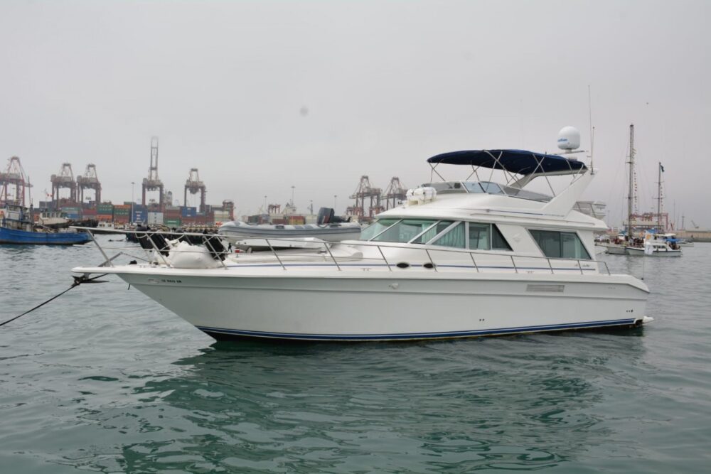 Paseo a islas Palomino para nadar con lobos marinos