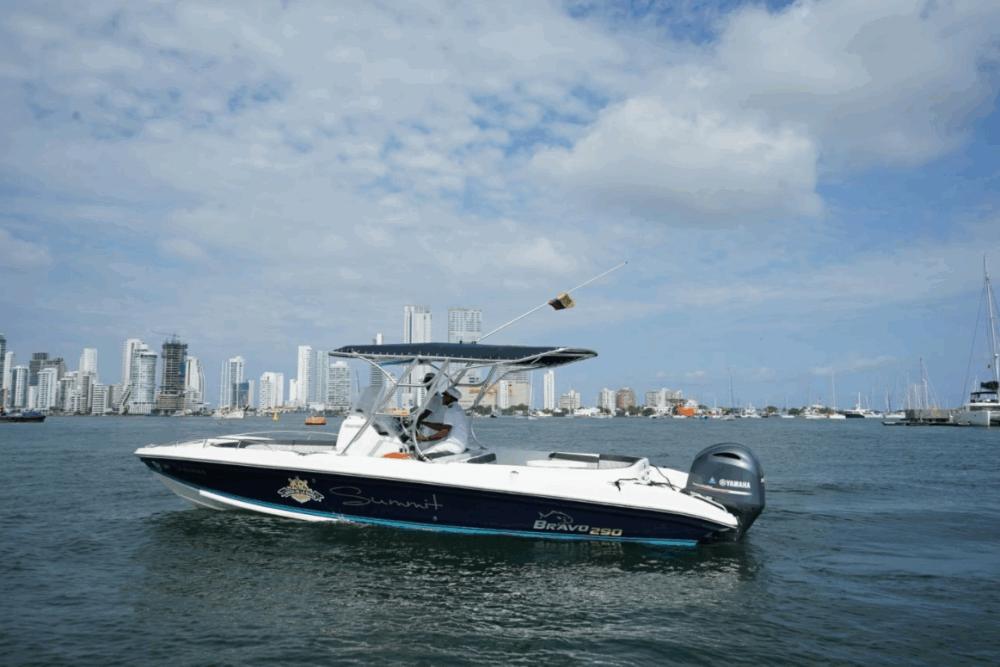 SUMMIT - 29ft SPEEDBOAT