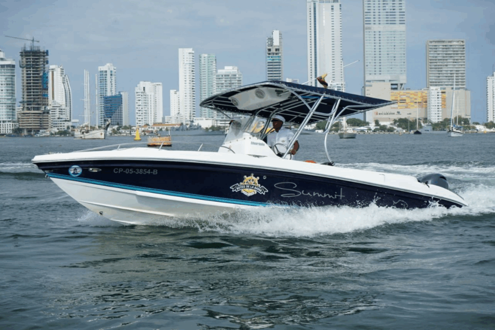 SUMMIT - 29ft SPEEDBOAT - Imagen 5