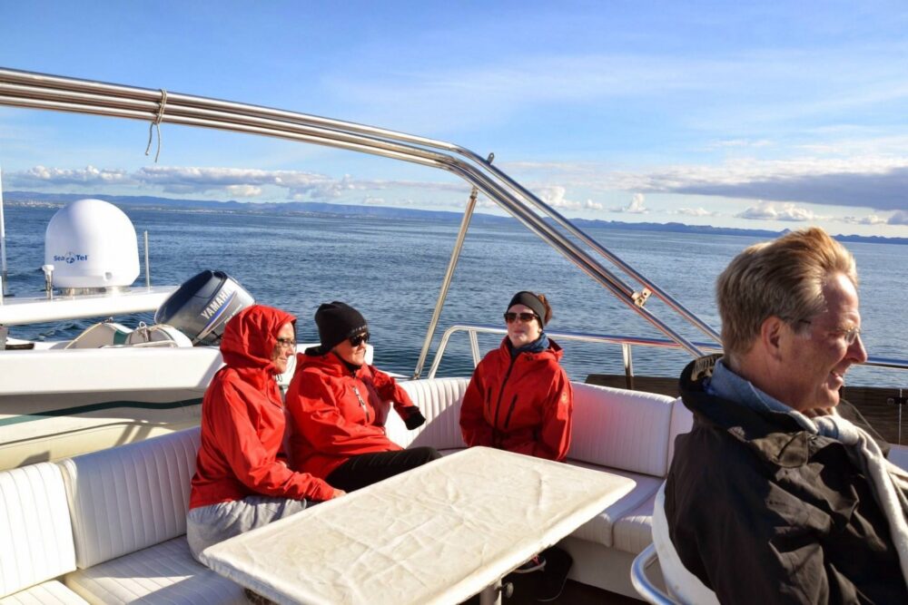 WHALE WATCHING YACHT CRUISE IN ICELAND - Imagen 12