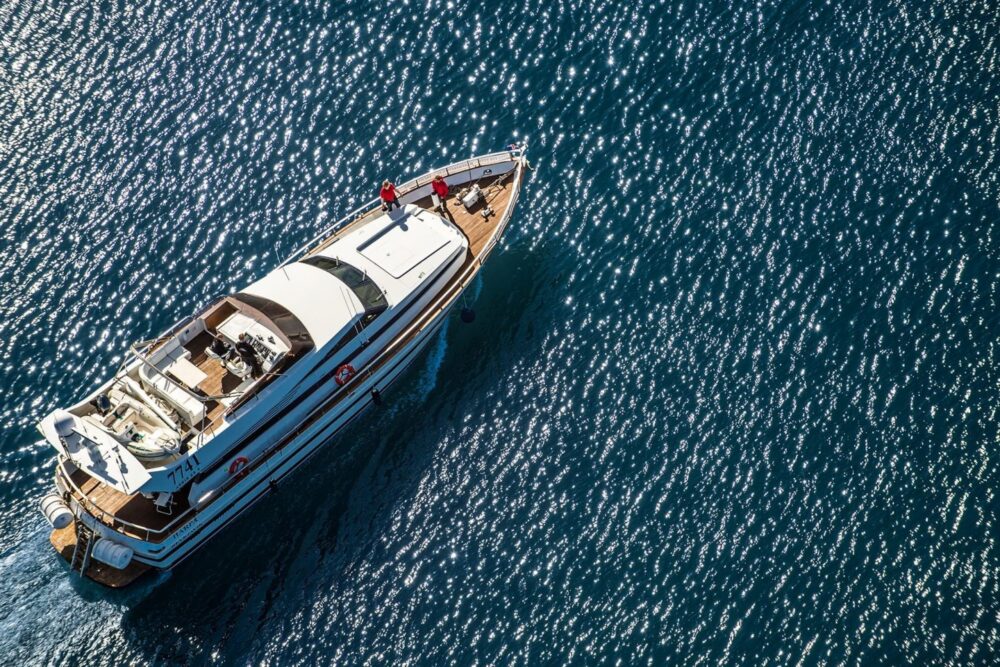 WHALE WATCHING YACHT CRUISE IN ICELAND - Imagen 10