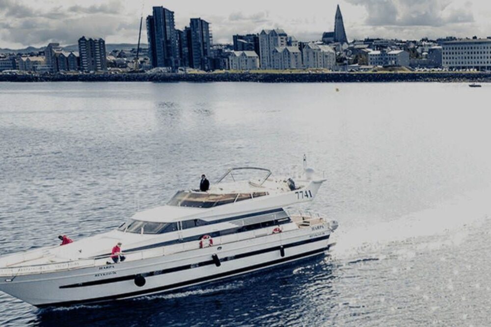 WHALE WATCHING YACHT CRUISE IN ICELAND - Imagen 9