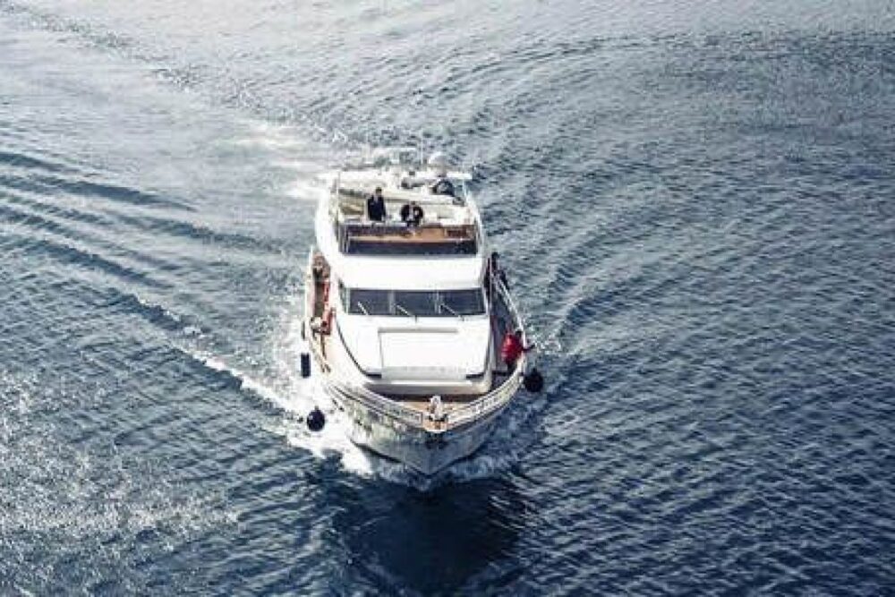 WHALE WATCHING YACHT CRUISE IN ICELAND - Imagen 8