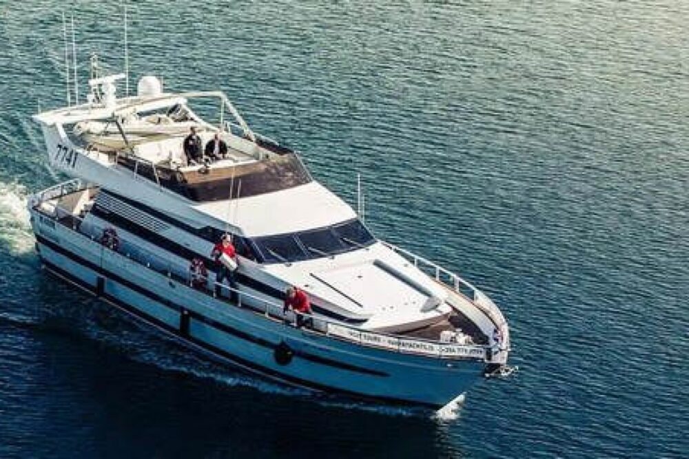 WHALE WATCHING YACHT CRUISE IN ICELAND
