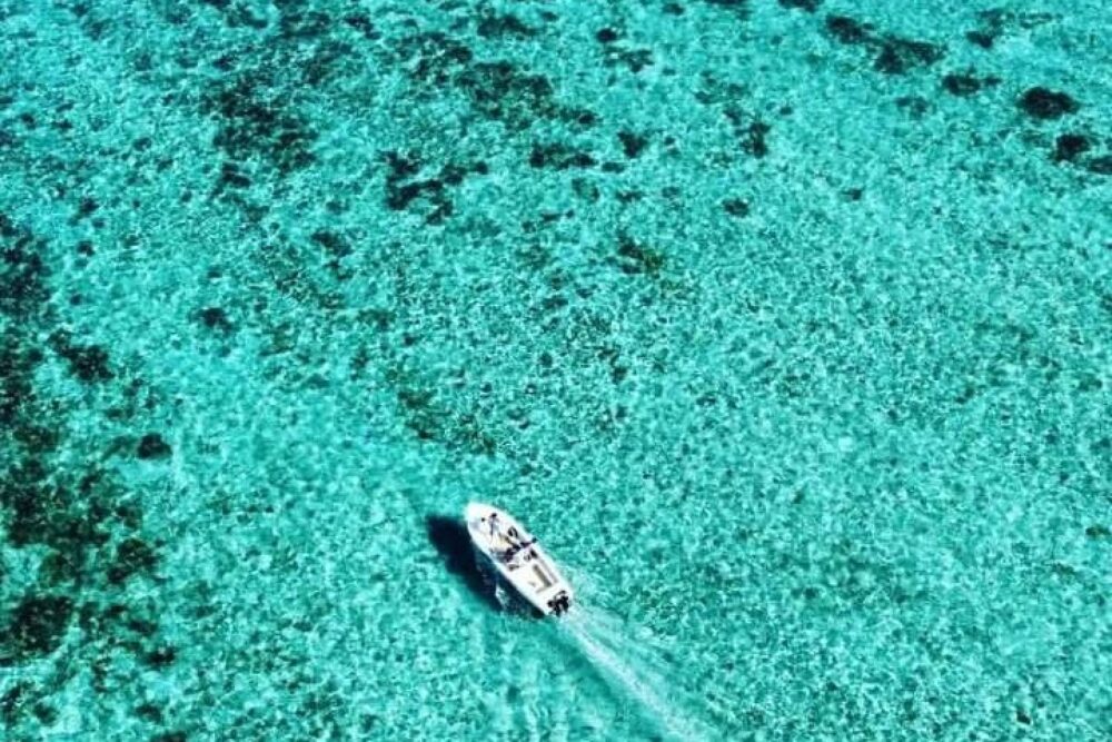Lydia Boat Private boat/Dolphin watching&swimming - Imagen 8