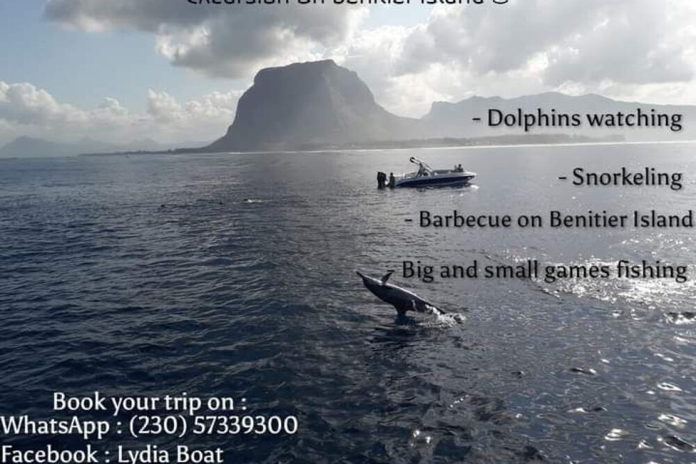 Lydia Boat Private boat/Dolphin watching&swimming - Imagen 4