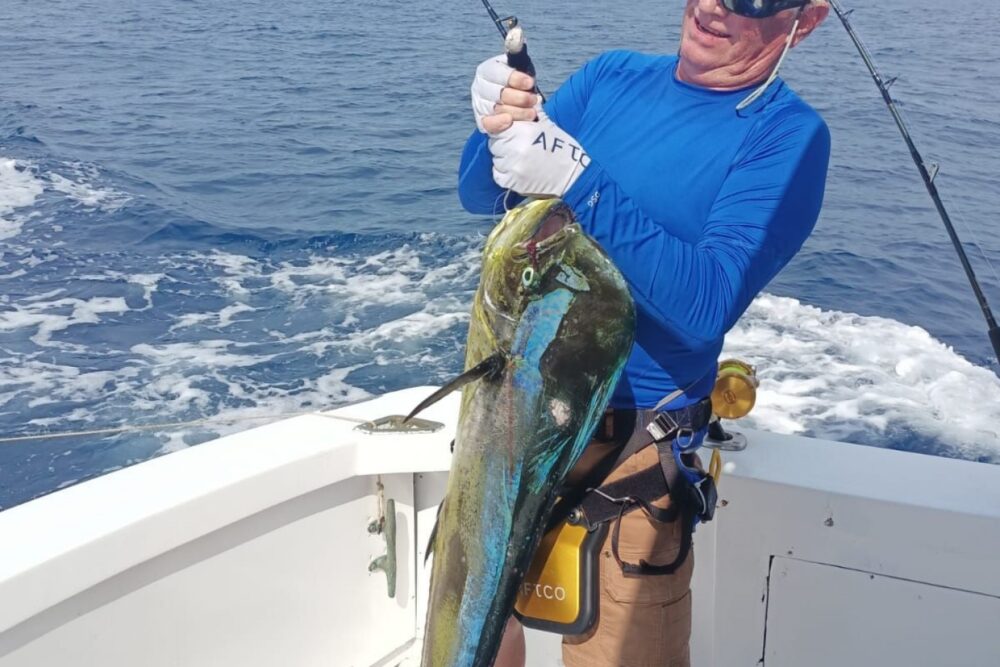 Sport fishing, inshore fishing, whale watching, fishing and Snorkel... - Image 4
