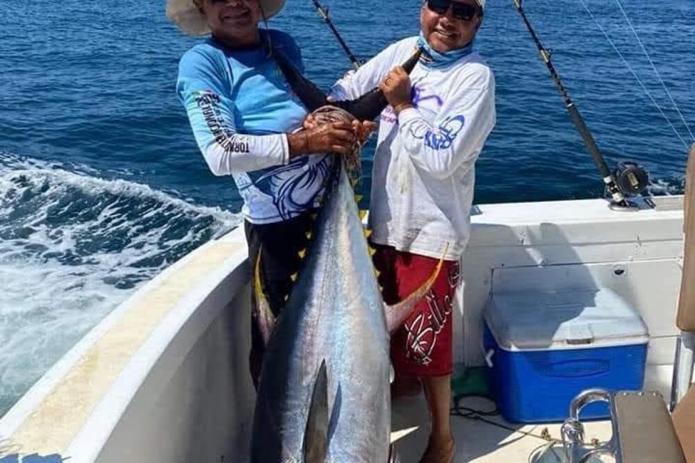 Sport fishing, inshore fishing, whale watching, fishing and Snorkel... - Image 3