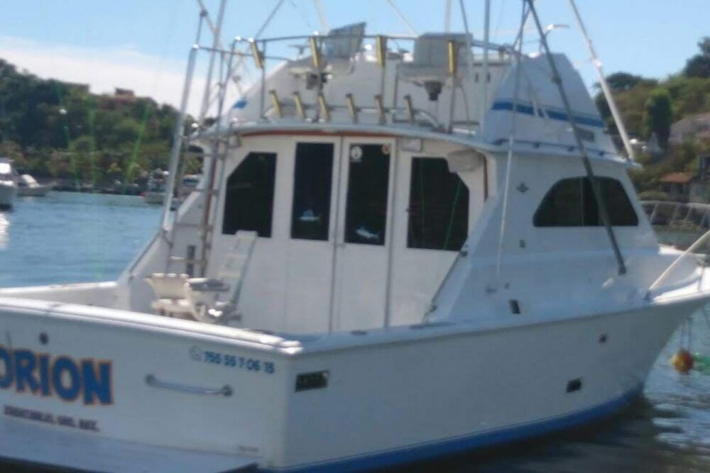 Sport fishing, inshore fishing, whale watching, fishing and Snorkel... - Image 2