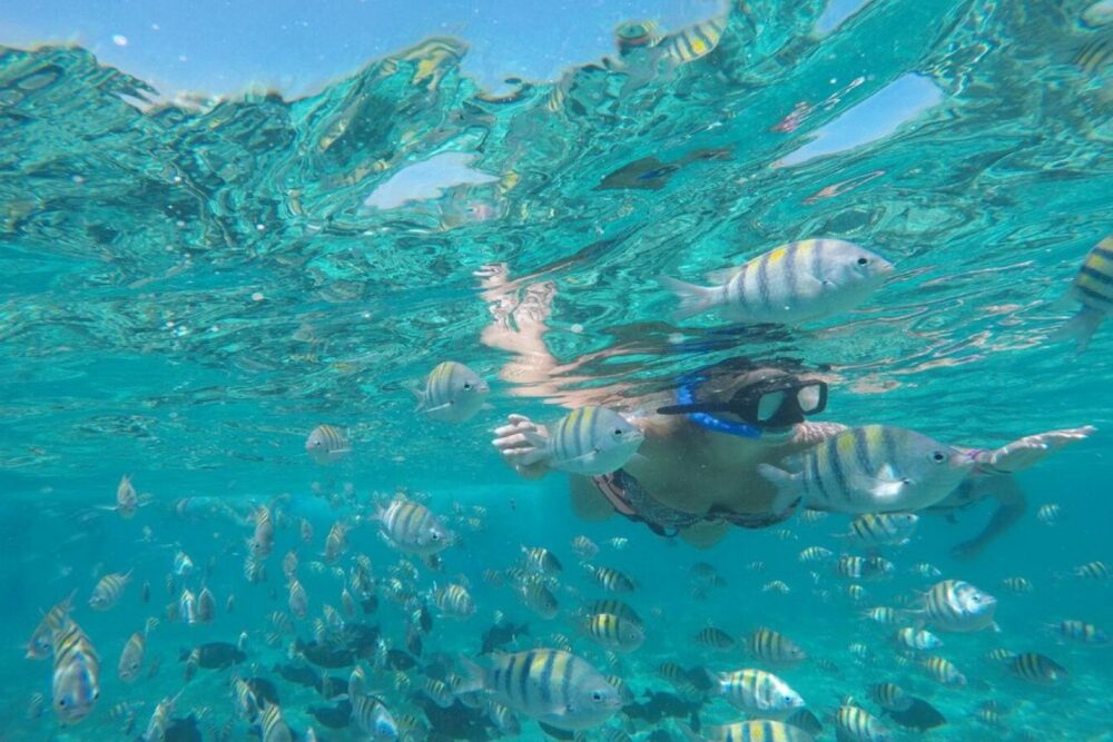 Private Yacht Full-Day Tour Cancun to Isla Mujeres - Image 4
