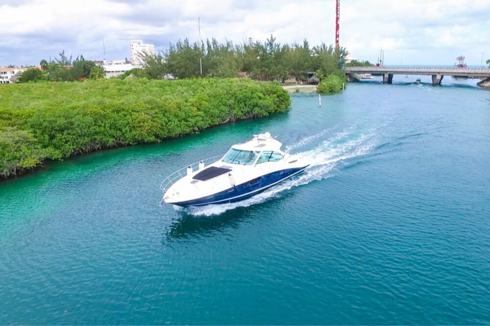Sundancer boat to rent at Playa Mujeres - Image 10