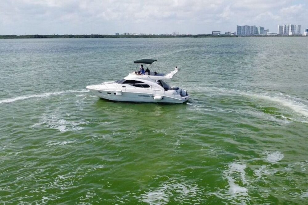 Family boat with Flybridge to visit Isla Mujeres - Image 9