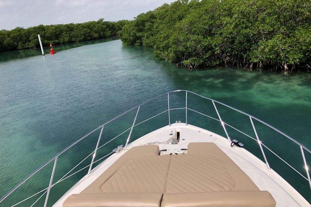 Family boat with Flybridge to visit Isla Mujeres - Image 7