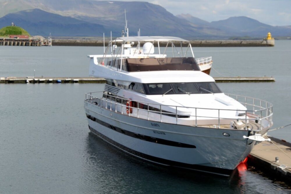 WHALE WATCHING YACHT CRUISE IN ICELAND - Imagen 2
