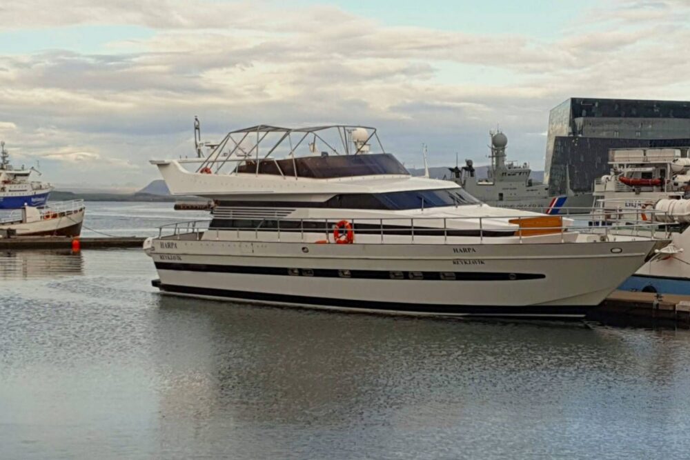 WHALE WATCHING YACHT CRUISE IN ICELAND - Imagen 3