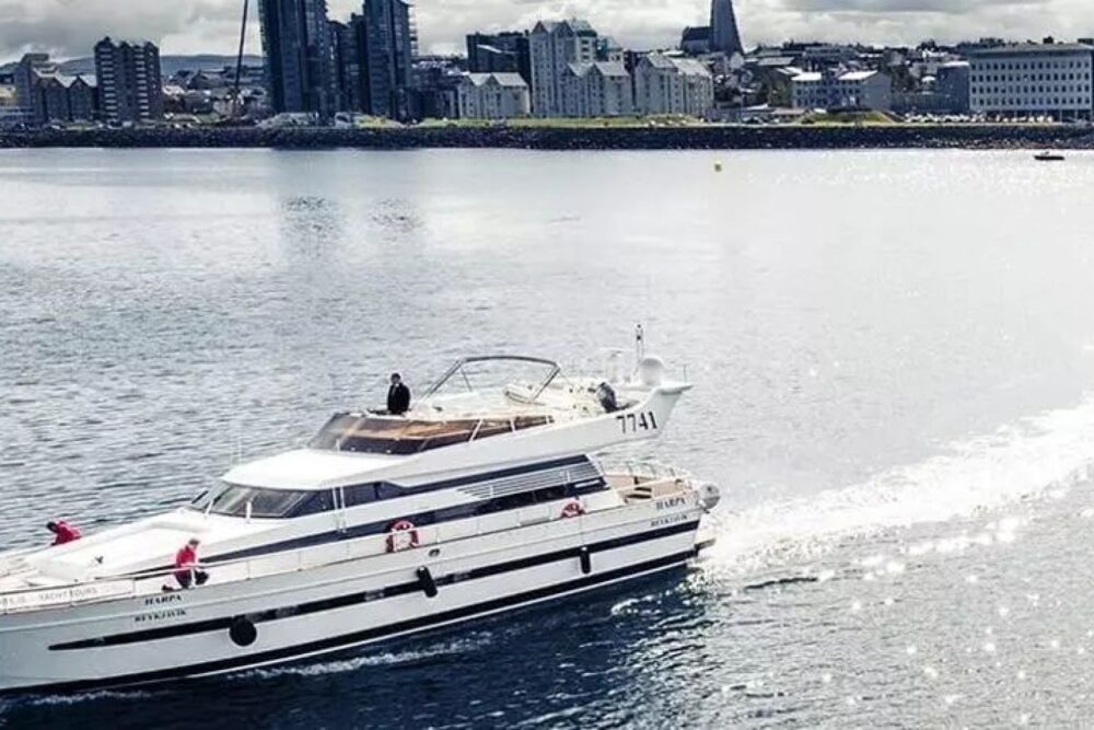 WHALE WATCHING YACHT CRUISE IN ICELAND - Imagen 5